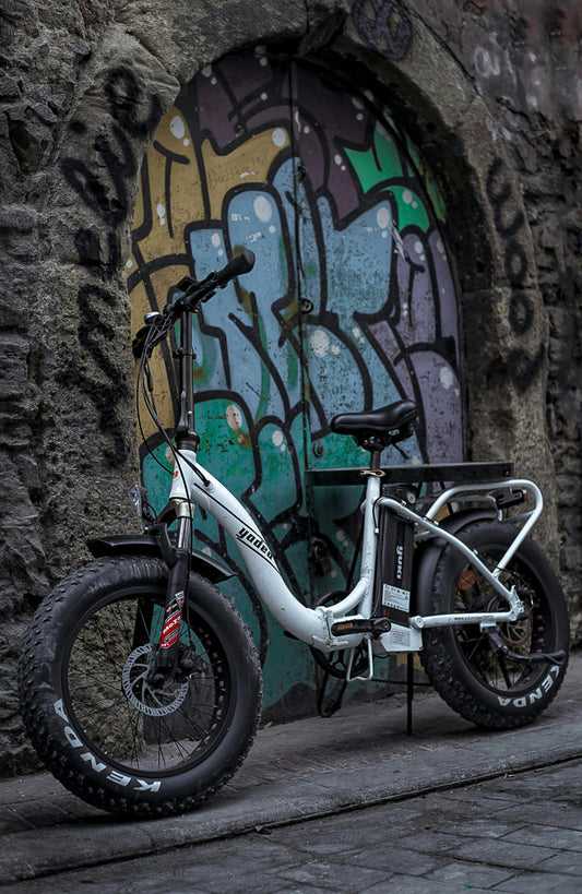 UrbanEco Foldable E-Bike